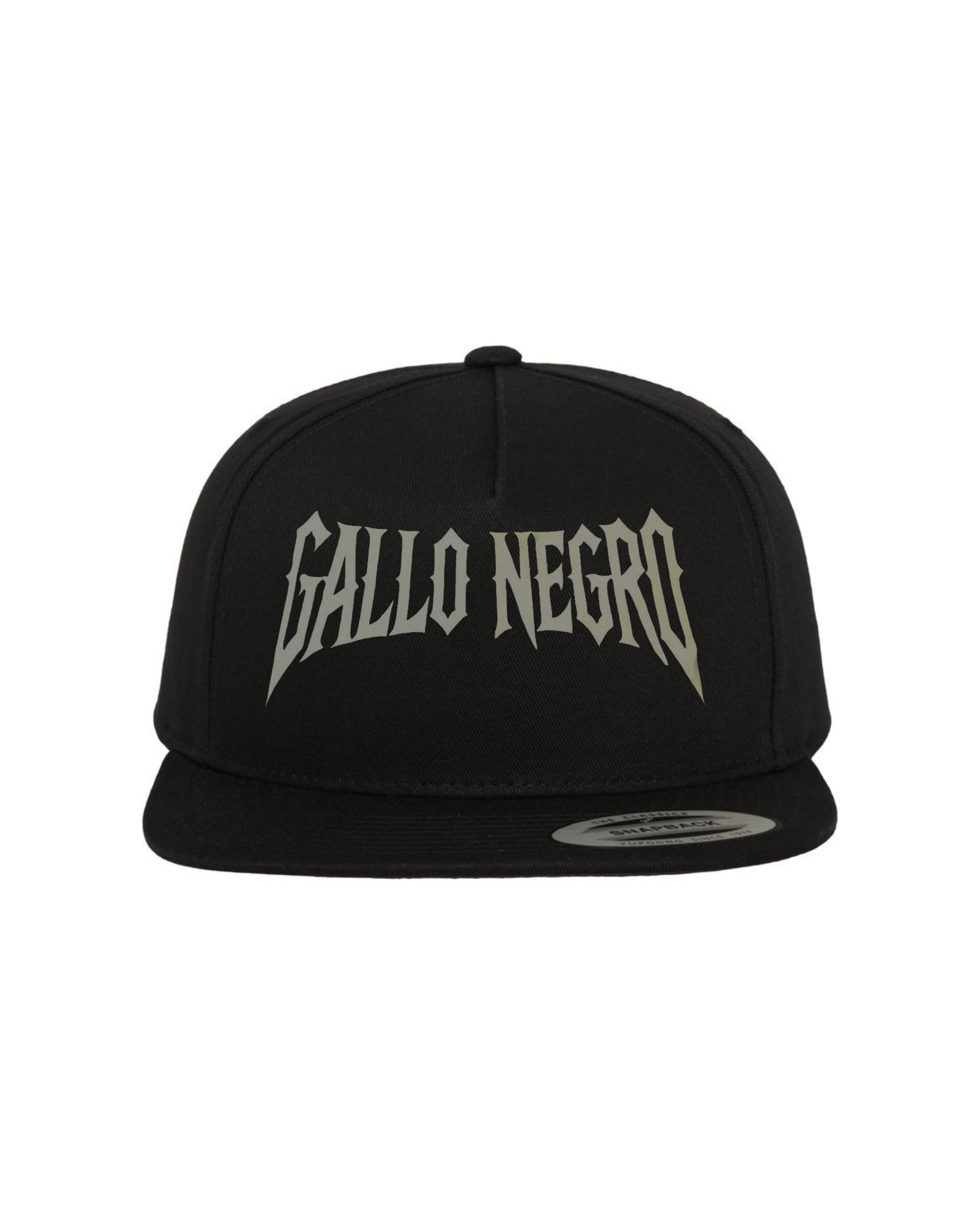 GORRA LETTER SNAPBACK